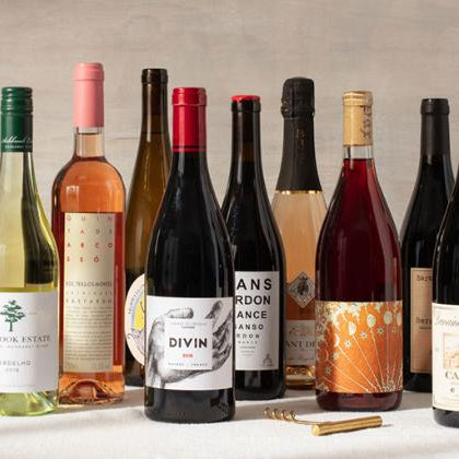 A Flavorful Exploration Guide to Different Types of Wine