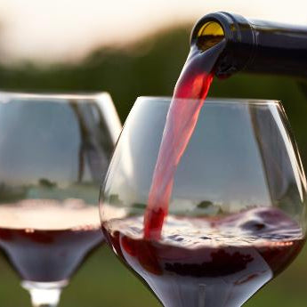 10 Popular Types of Red Wine You Should Know